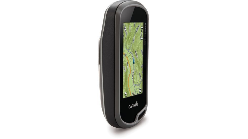 shade shrubs for pots