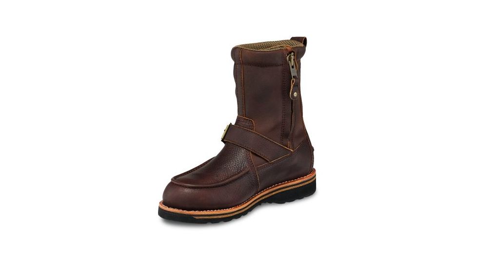 irish setter 839