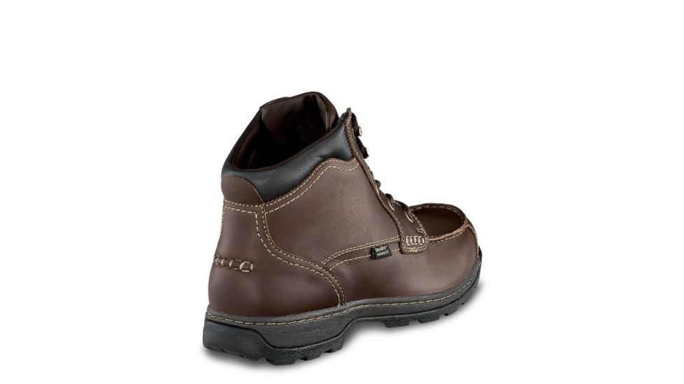 irish setter soft paw 3875