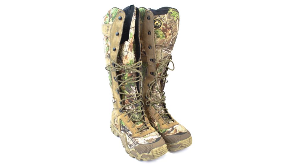 irish setter 2875