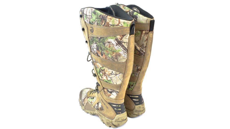 irish setter 2875