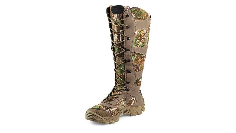 irish setter 2875