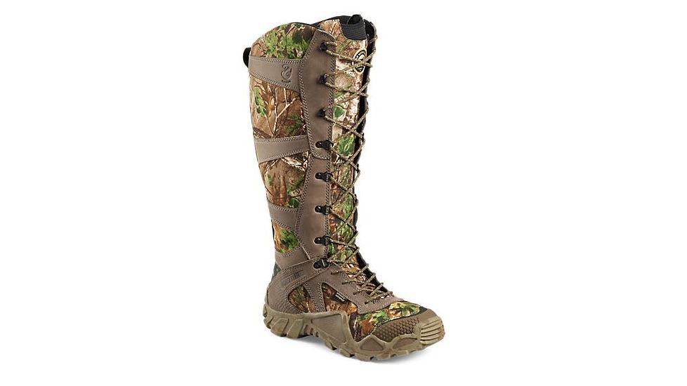 irish setter 2875