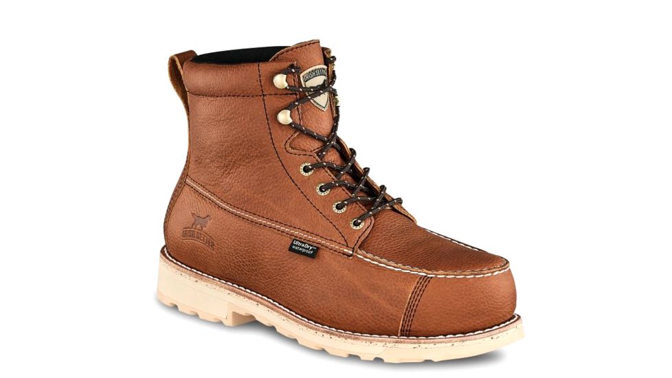 irish setter 83620