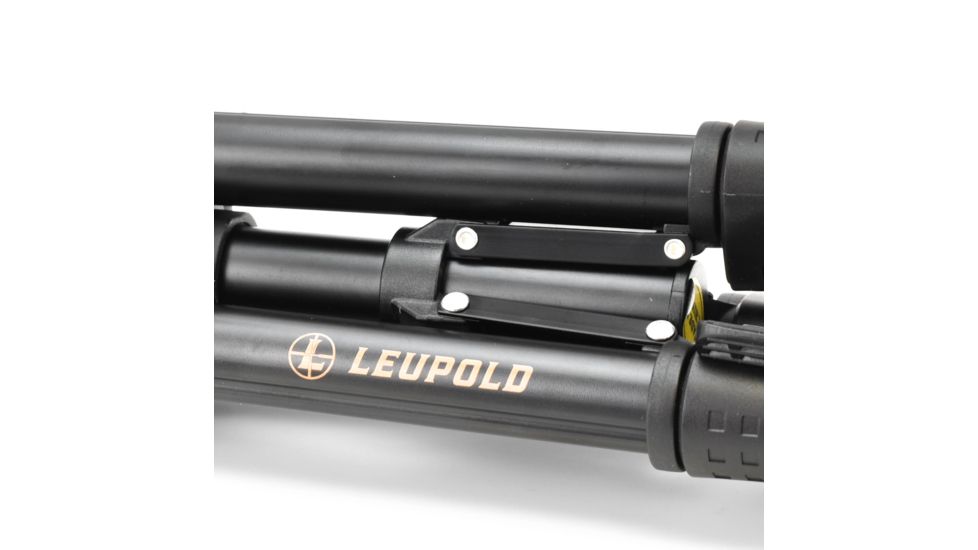 Leupold SX-1 Ventana 2 20-60x80mm Angled Kit Gray/Black 170762