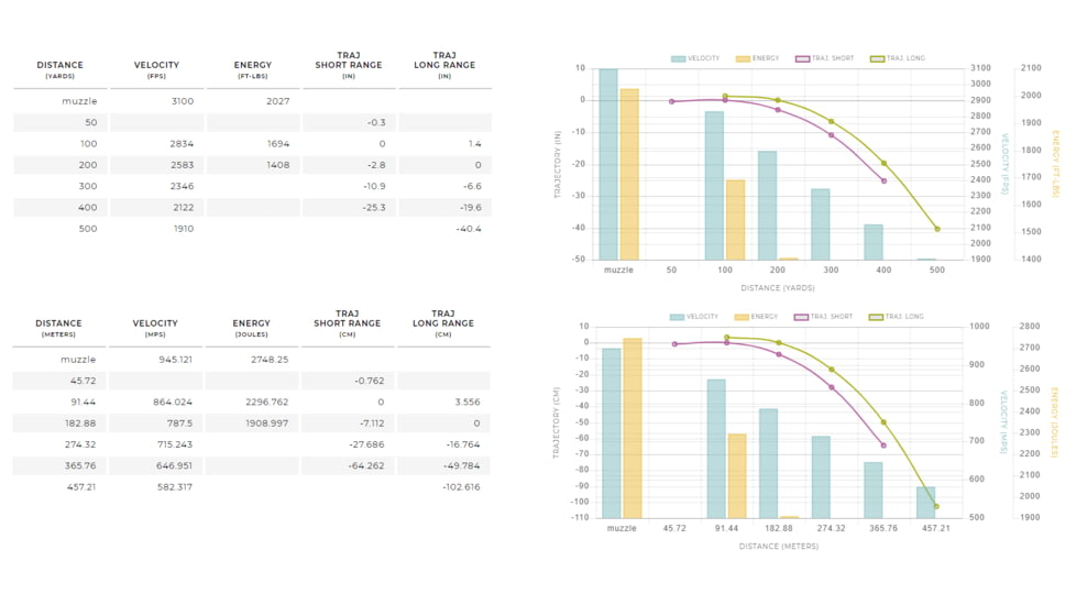 Winchester DEER SEASON XP .243 Winchester 95 grain Extreme Point