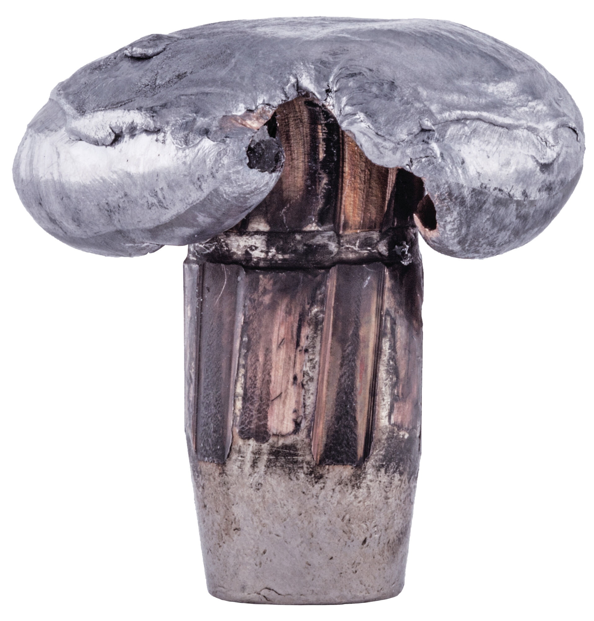 Mushroom expansion of 6.5 Creedmoor bullet