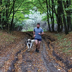 Training for Hunting