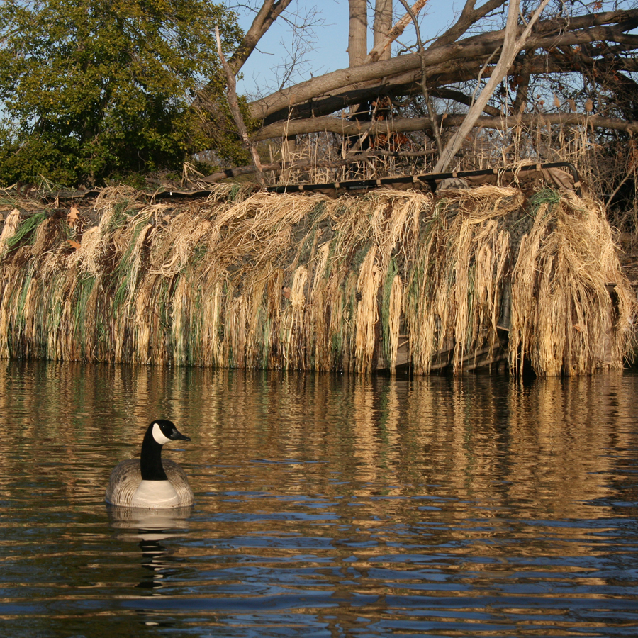 How to grass up your duck boat blind