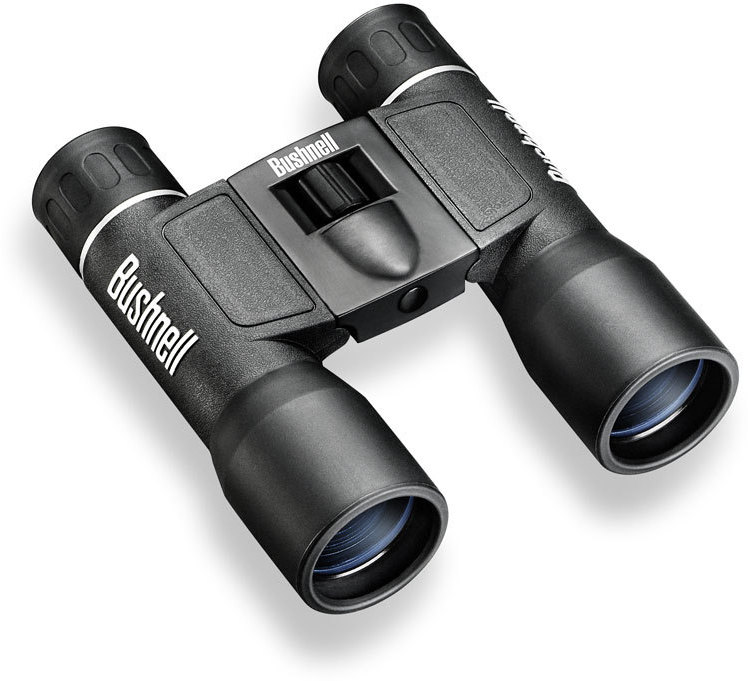 bushnell 10x32