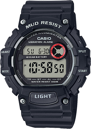 casio vibrate alarm