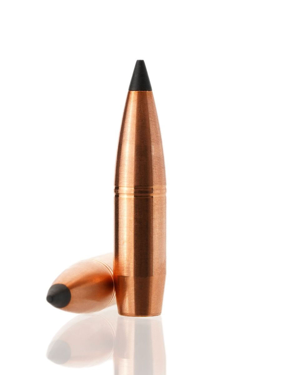 Cutting Edge Bullets .308 Caliber 165 Grain Solid Copper Tipped Hollow Point Rifle Bullets