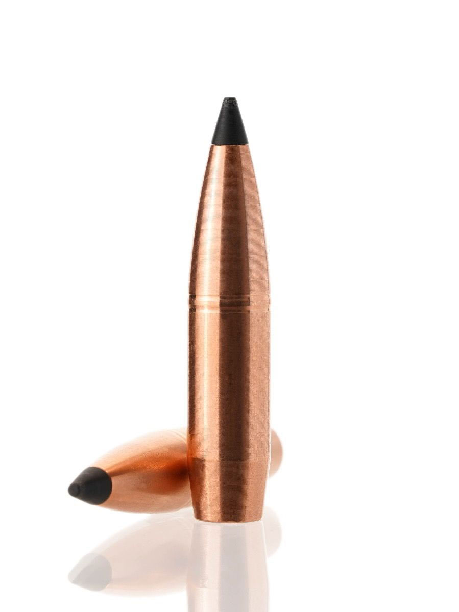 Cutting Edge Bullets .308 Caliber 180 Grain Solid Copper Tipped Hollow Point Rifle Bullets