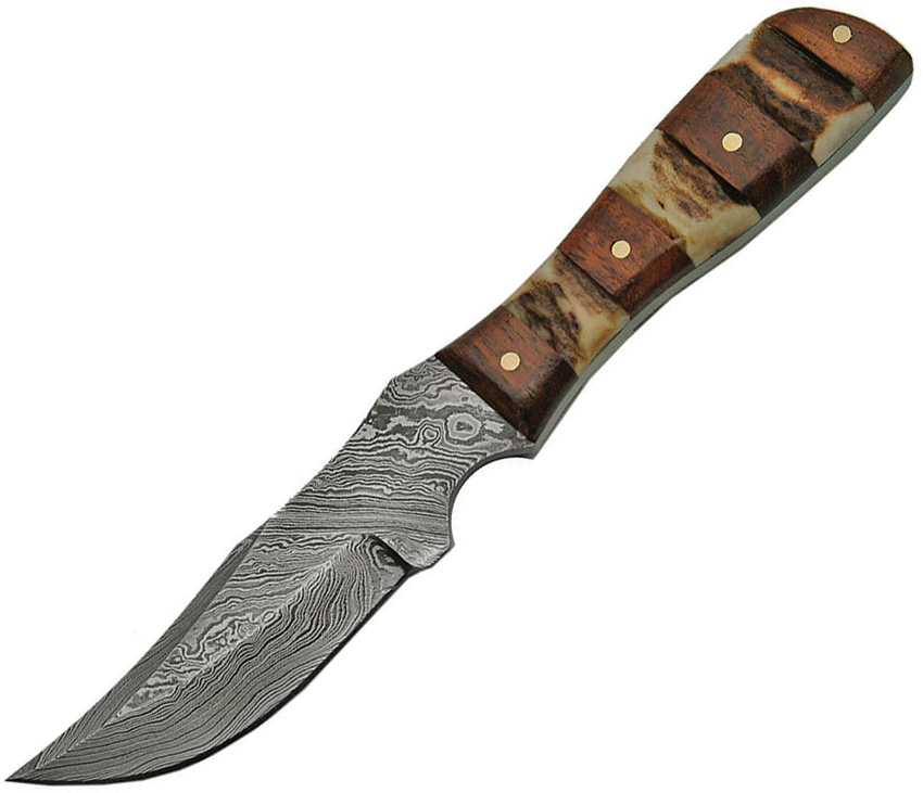 Damascus Mini Stag Wood Handle Fixed Blade Knife