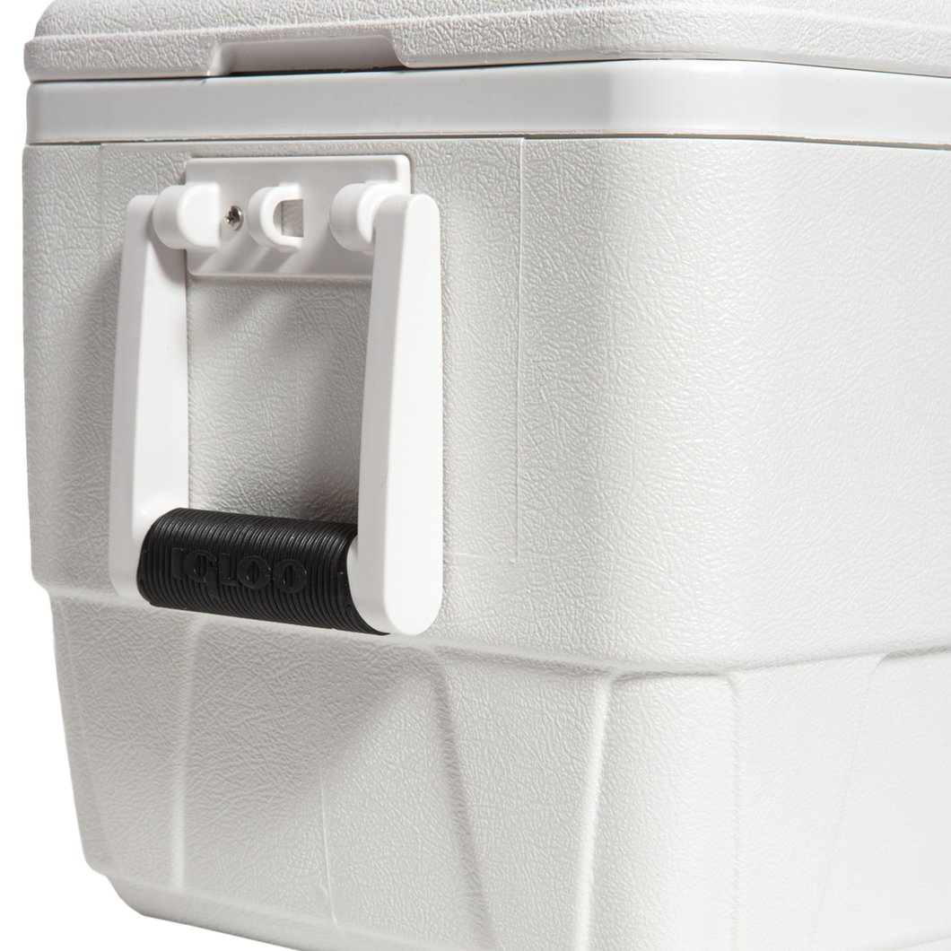 36 qt cooler