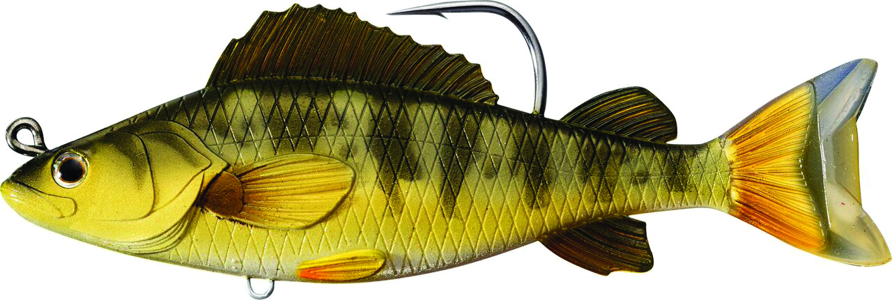 Live Target Yellow Perch Swimbait