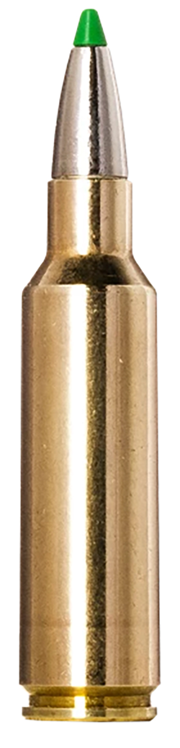 Norma .300 Winchester Short Magnum 165 grain Boat Tail (BT) Brass Cased Rifle Ammunition