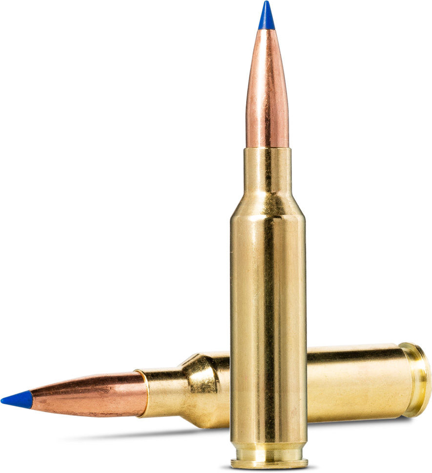 round 5mm ammo