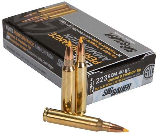 Underwood Ammo 223 REM 60Gr Ballistic TIP 20Rd 10Bx/Cs 426 - Rifle