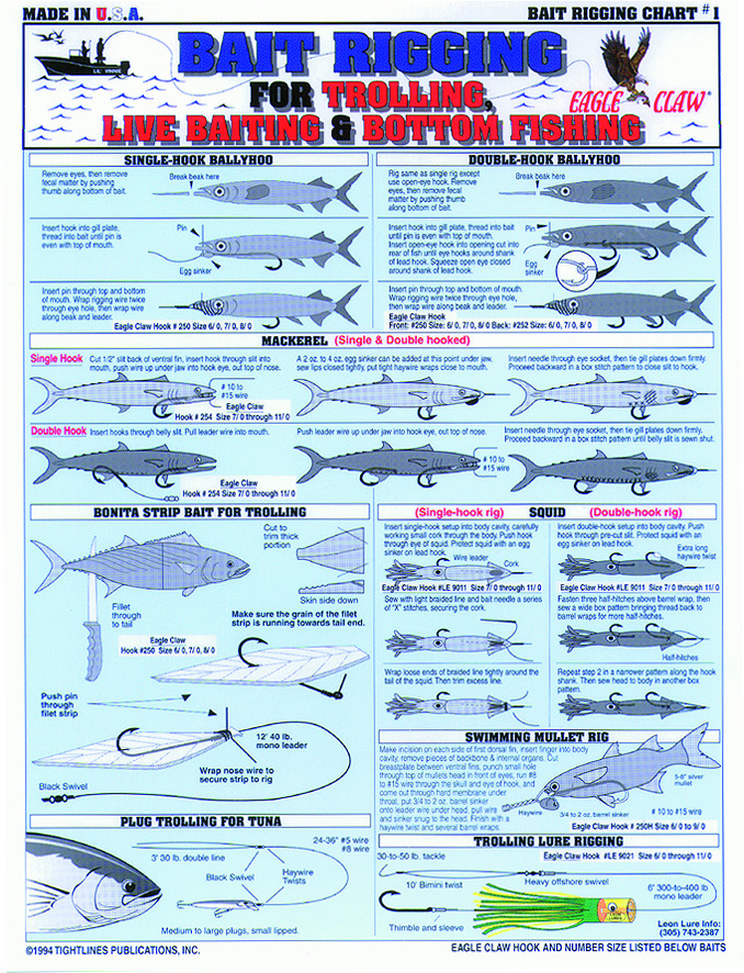 Tightlines Bait Rigging Charts  Up to 16% Off Free Shipping over $49!