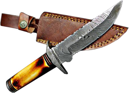  Titan International Knives Small Skinner Knife with Burnt Bone  Handle Fixed Blade Perfect EDC Hunting and skinning knife, outdoors and  camping gear