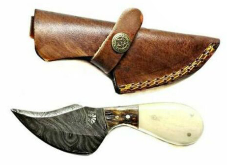 Titan Damascus Skinning knife, Camel Bone Stag Handle, 6in