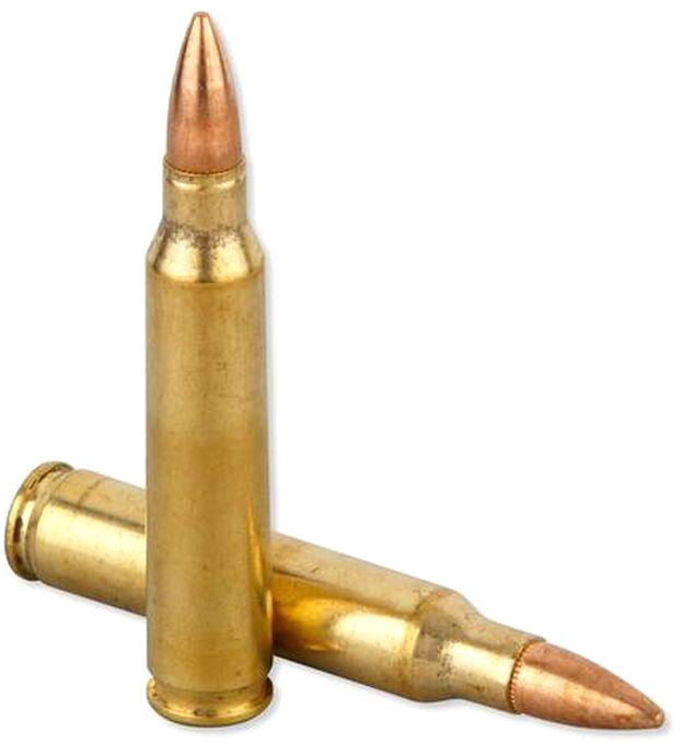 RMR Bullets - .223 / 5.56 NATO Lake City Demil Primed Brass (1,000 Count)
