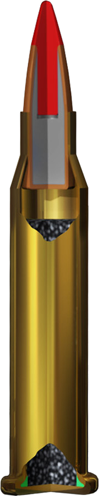 Vertical Slice view of a Winchester 17 WSM Varmint Round