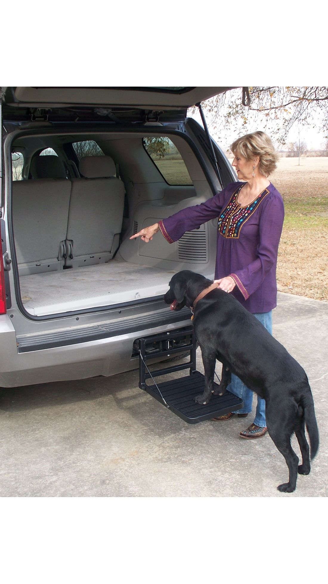 Great Day Hitch Up Pet Step, 300 lb weight cap Free Shipping over 49!