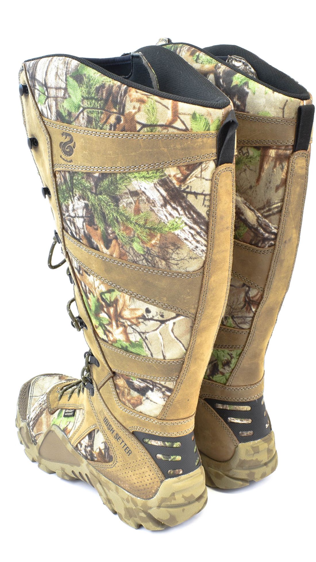 irish setter 2875