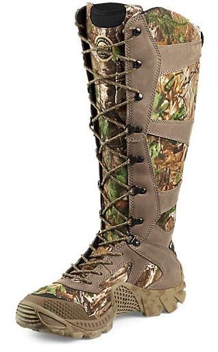 irish setter 2875