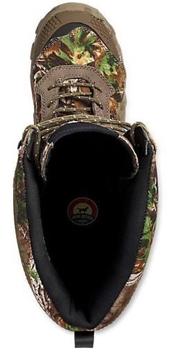 irish setter 2875