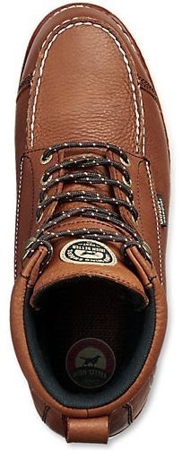 838 irish setter