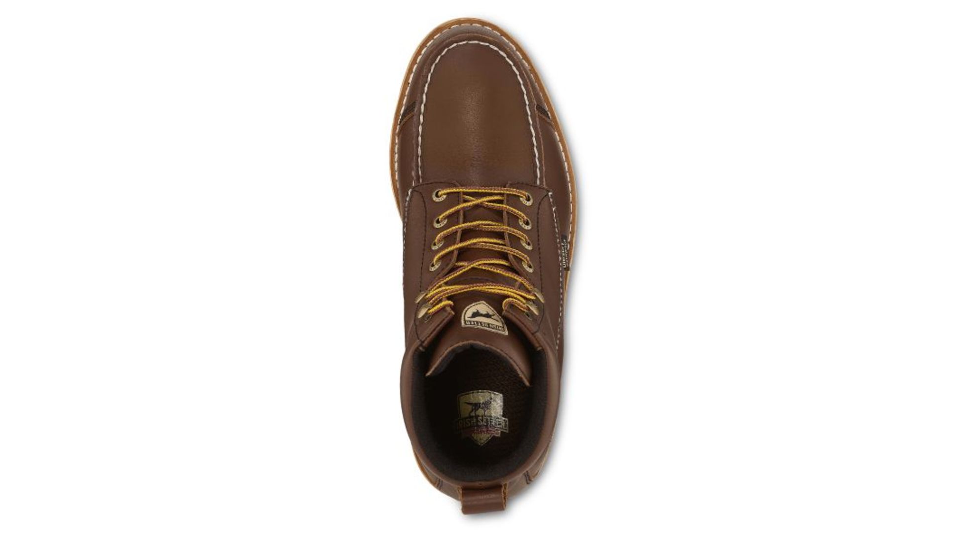 irish setter 891