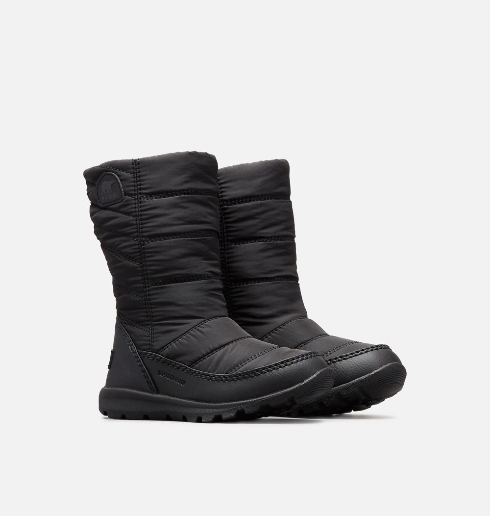 sorel whitney
